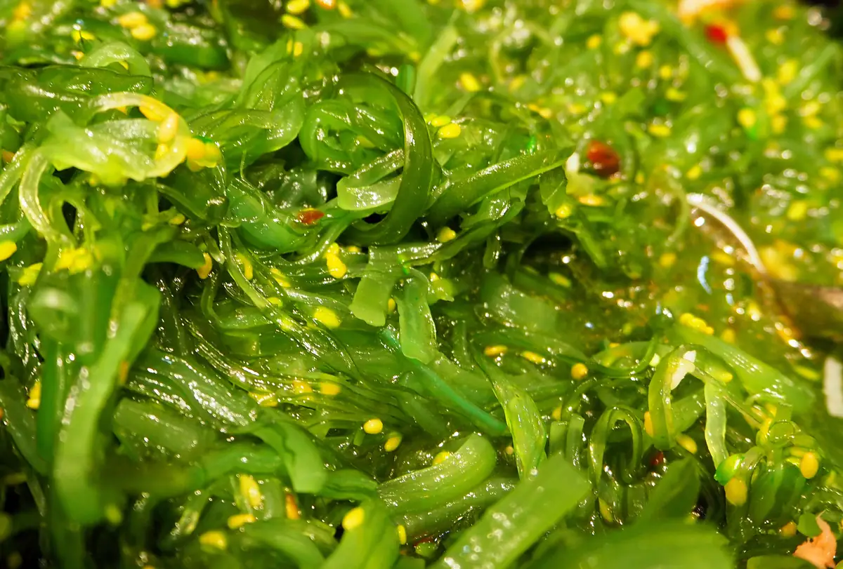 Salată de alge marine cu susan și chilli